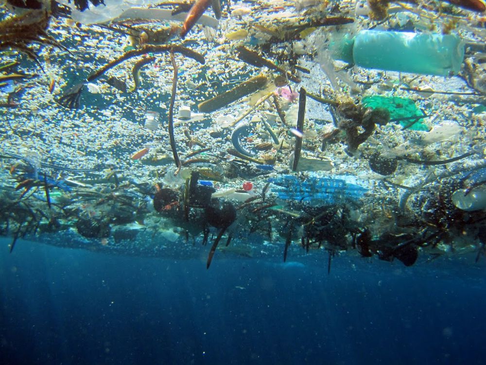 Why Plastic is Such a Big Problem