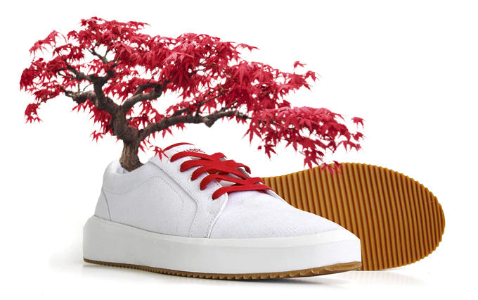 From Footsteps to Fruit